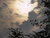Moonlit clouds in nighttime sky