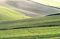Picture Title - colline toscane