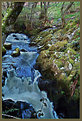 Picture Title - Aira force 1