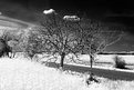 Picture Title - (infra)red snow