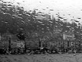 Picture Title - Guarda come piove!