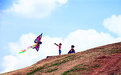 Picture Title - Kite in Color