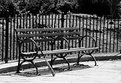 Picture Title - Bench & Bat