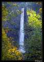 Picture Title - Oregon Falls