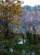 fall