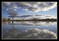 Picture Title - Cloud Reflections