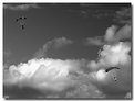 Picture Title - flight in clouds