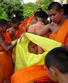 Picture Title - Changing into the Saffron Robe
