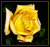 Yellow Rose of Texas -1