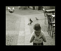 Picture Title - Catching the birds