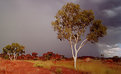 Picture Title - Blood at Devil's Marbles