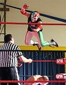 Picture Title - Lucha Libre Wrestling