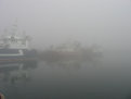 Picture Title - Foggy morning