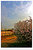 one spring morning