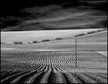 Picture Title -  ploughed field