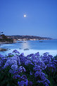 Picture Title - Moonrise Over Laguna