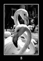 Picture Title - "8"