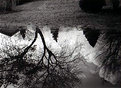 Picture Title - Spring Flood - Reflections