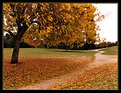 Picture Title - Path Through Autumn