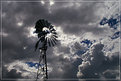 Picture Title - windmill