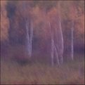 Picture Title - Fall Pastels