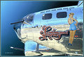 Picture Title - ~~  B - 17 ~~