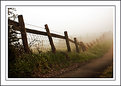 Picture Title - Fences in the mist
