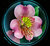Lilly Under Glass