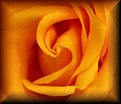 Picture Title - Rose Art