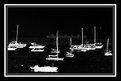 Picture Title - BOATS