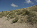 Picture Title - Sand dunes