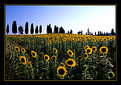 Picture Title - Tuscany Landscape