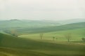 Picture Title - Dreaming in Tuscany