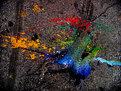 Picture Title - Splattered Paint