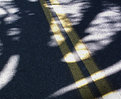 Picture Title - shadowed road