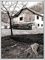 Picture Title - Old House