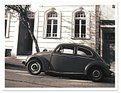 Picture Title - [[Old Beetle]]