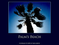 Picture Title - Palm's Beach