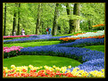 Picture Title - Kuekenhof garden