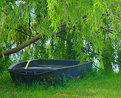 Picture Title - Row Boat