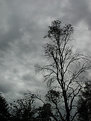 Picture Title - cidergum and storm clouds