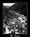 Picture Title - The Stream