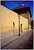 Primary Prague Colors