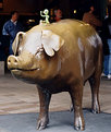 Picture Title - Riding the Brass Pig