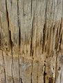 Picture Title - More Wood Grain