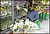 The Flower Shop