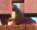 Picture Title - Peek-a-Boo!