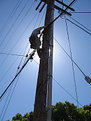 Picture Title - MY DADDY WAS A LINEMAN