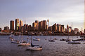 Picture Title - Sydney City sunset