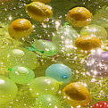 Picture Title - water bombs and lemons